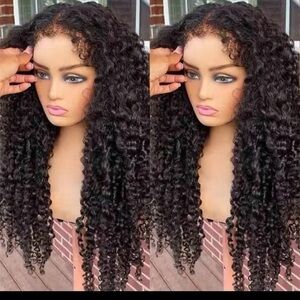 100% human hair 13x4 lace wig